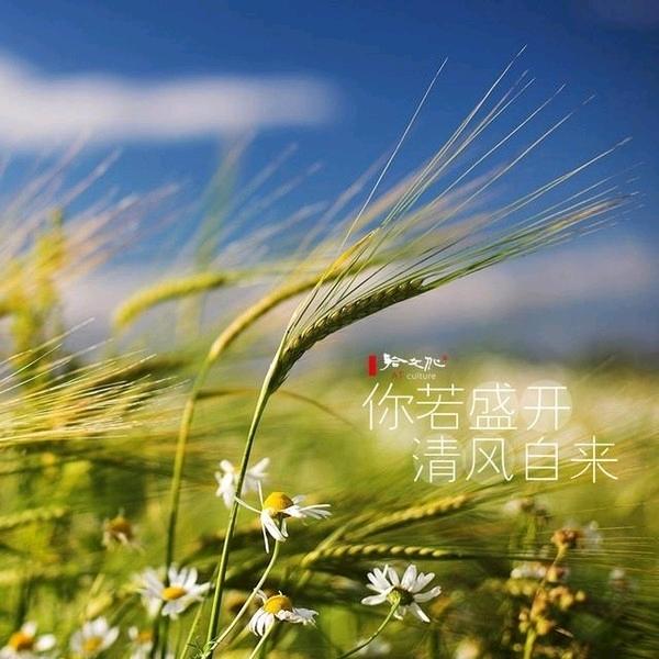 清风百里@