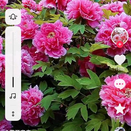 /未来不是梦/（拒绝私聊）