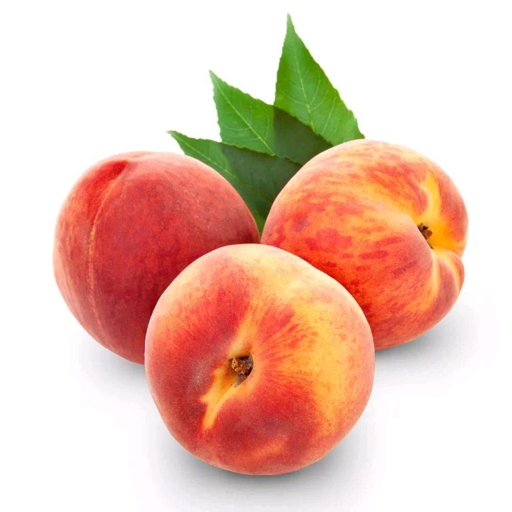 河北辛集水果代收