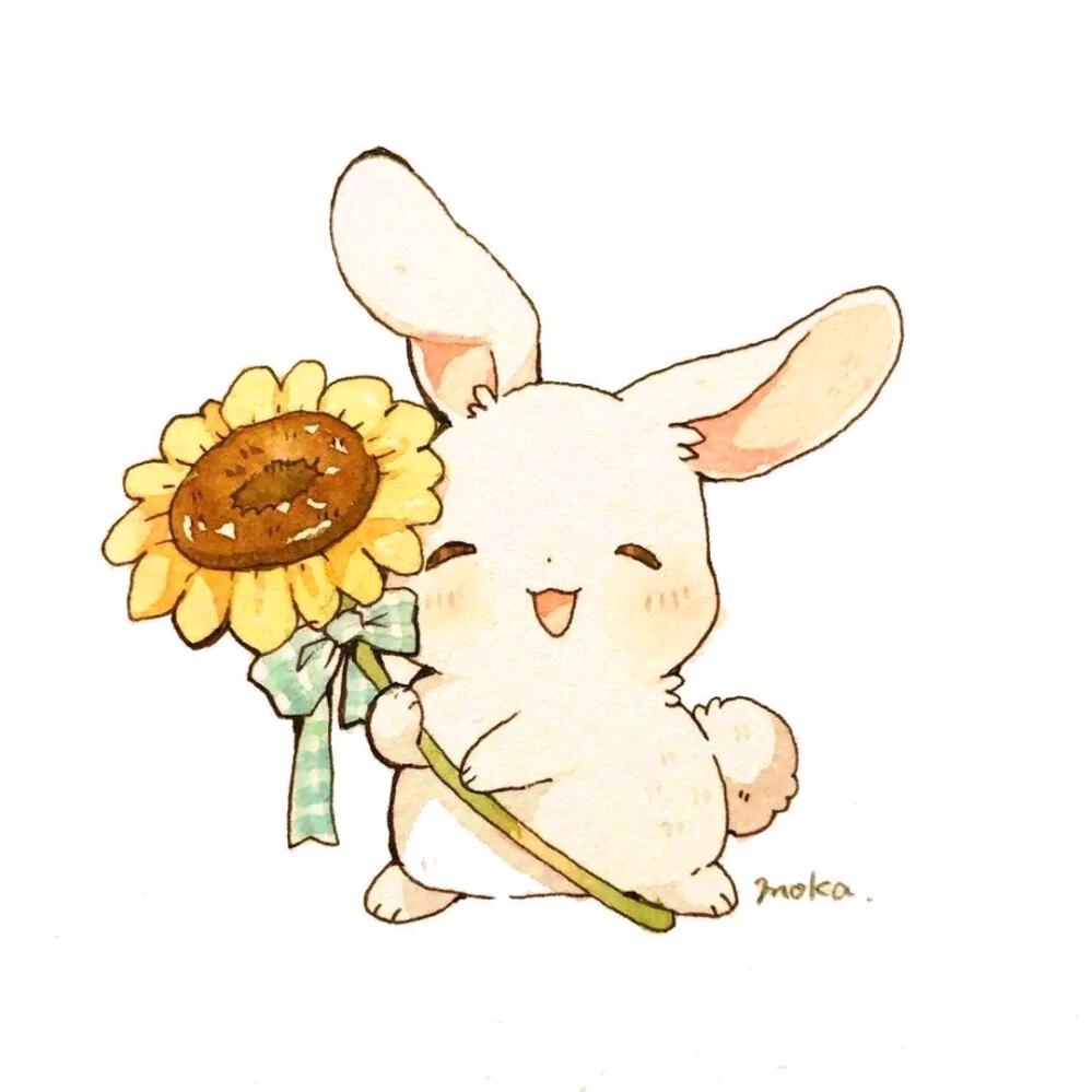 兔子🐰（小高）