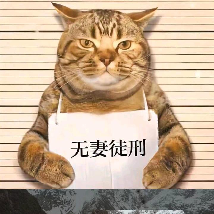 晨