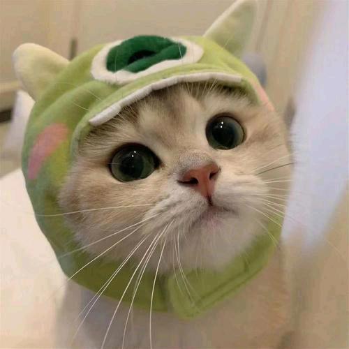 變化