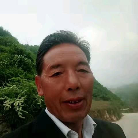 春满人间