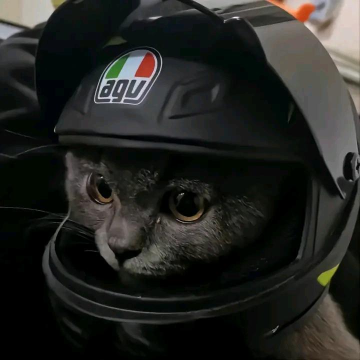 哈根达斯（03版）