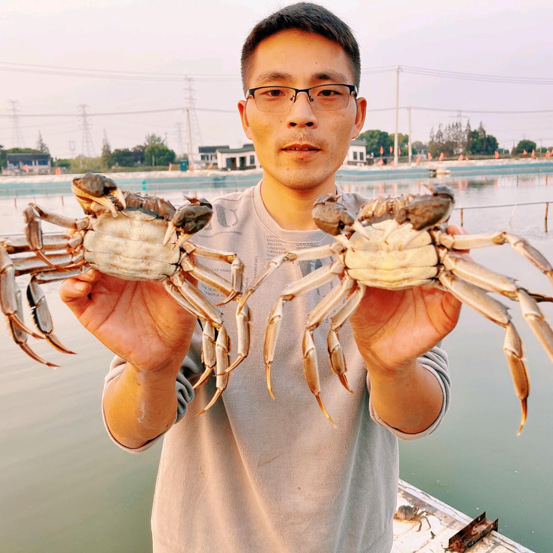 杨先生…………