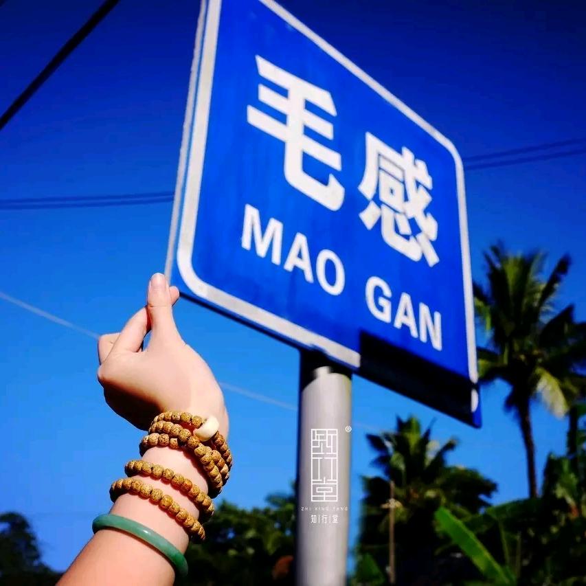贺昭雯