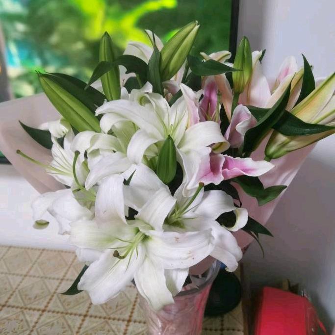 榆树定欣欣
