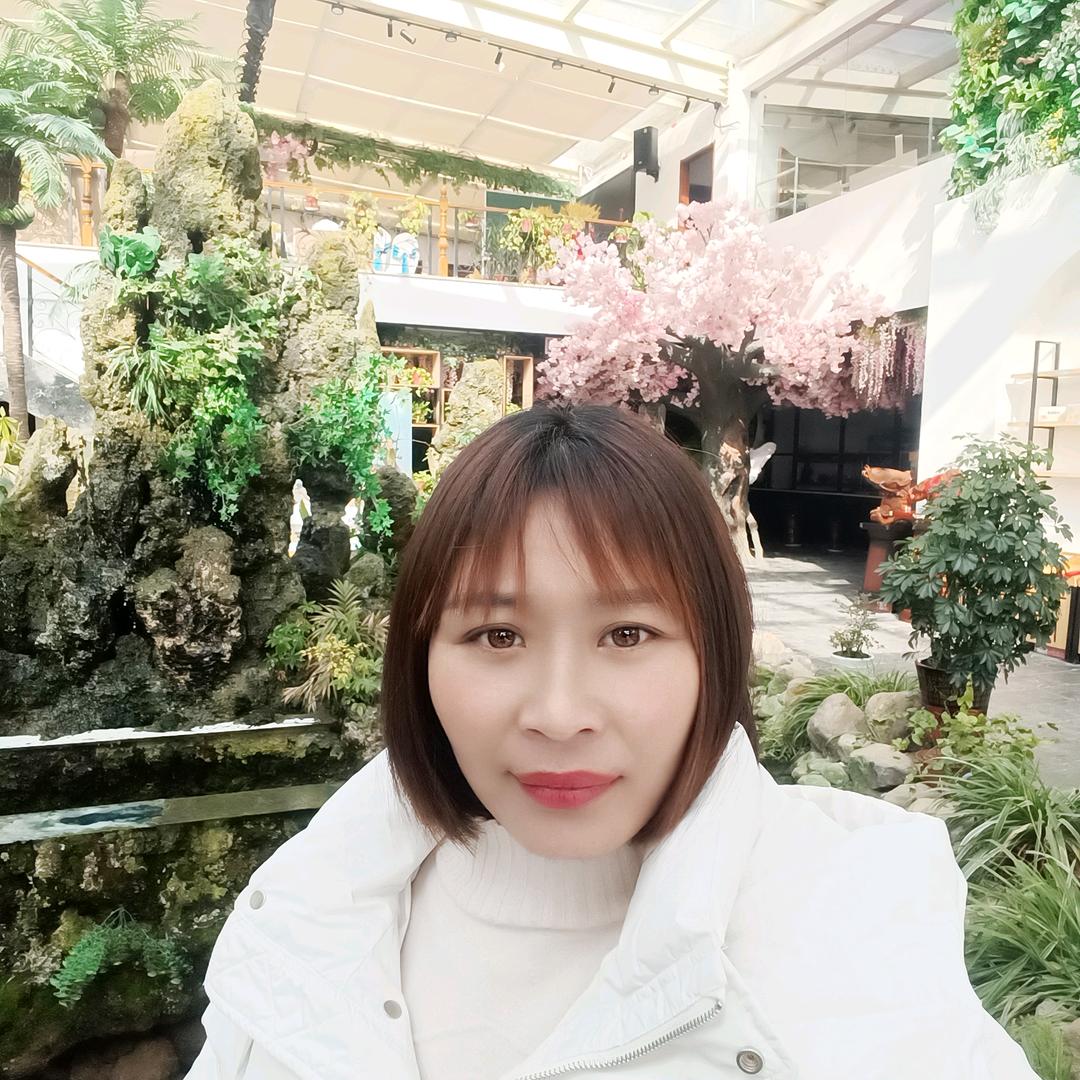 我是快乐的小燕子