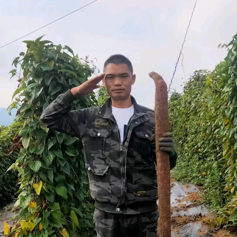 山药欢哥