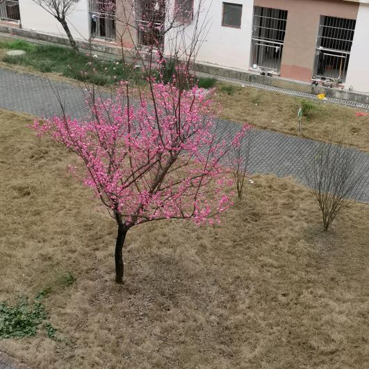 怕错过，确错过