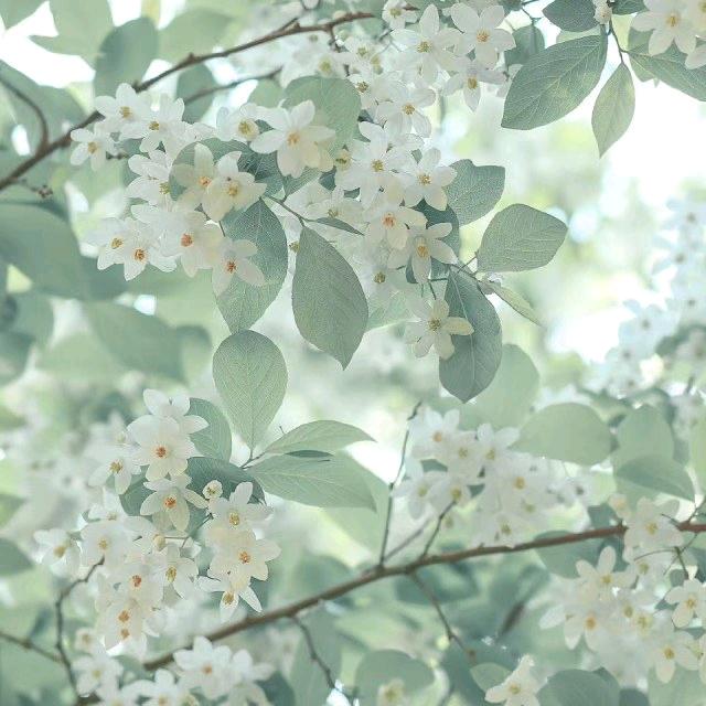 0025