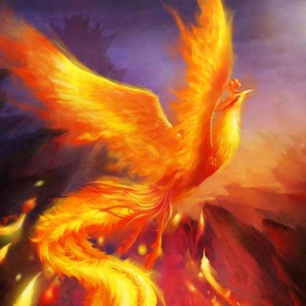 徐爺（液压精工）