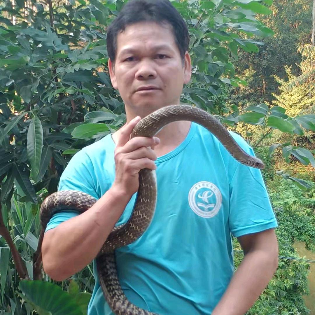 泉哥养🐍🐀