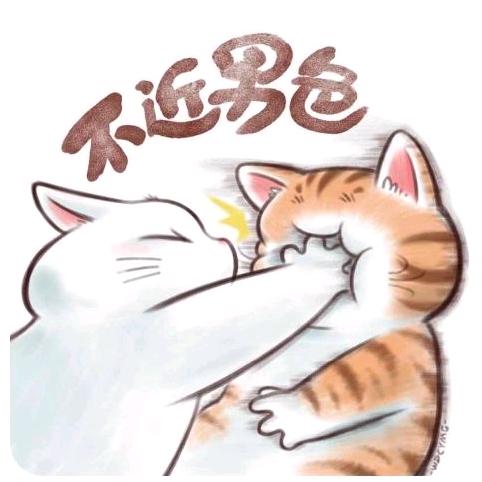 会散࿐