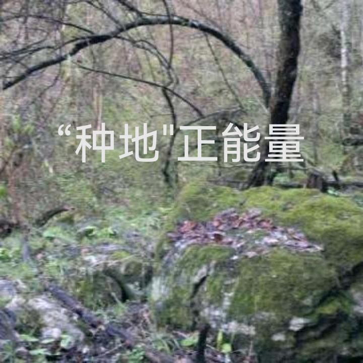 半碗水