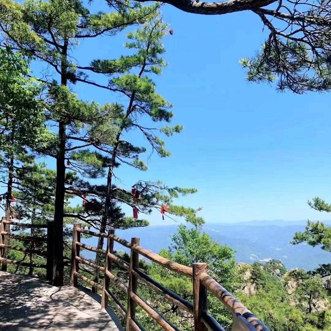 乄杺