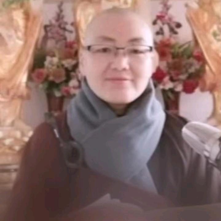 释悟安