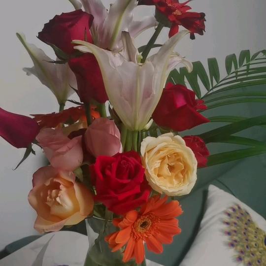 心如止水🍀🍀