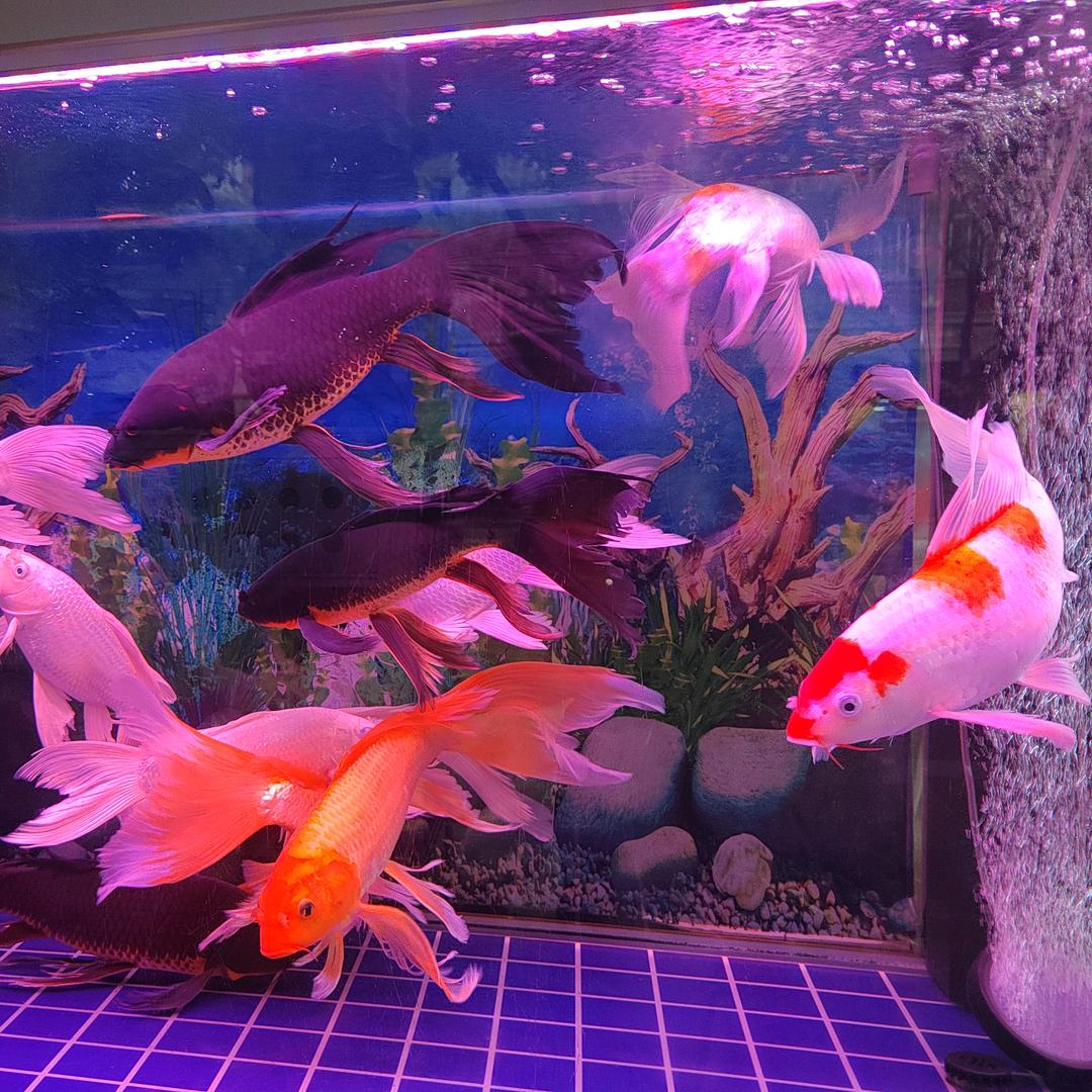 🌈那又如何