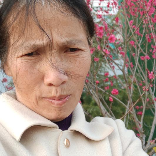 苏飞姐