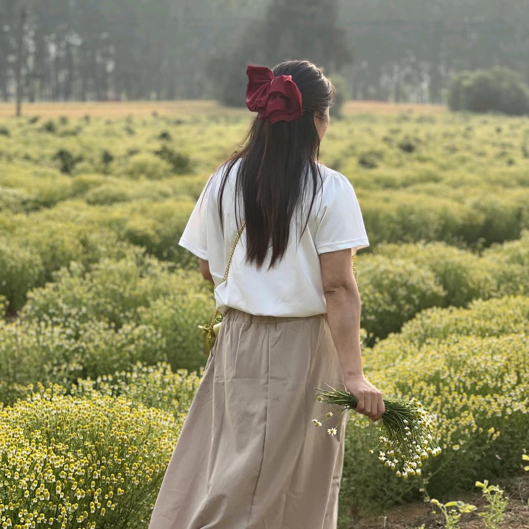 护花田姐