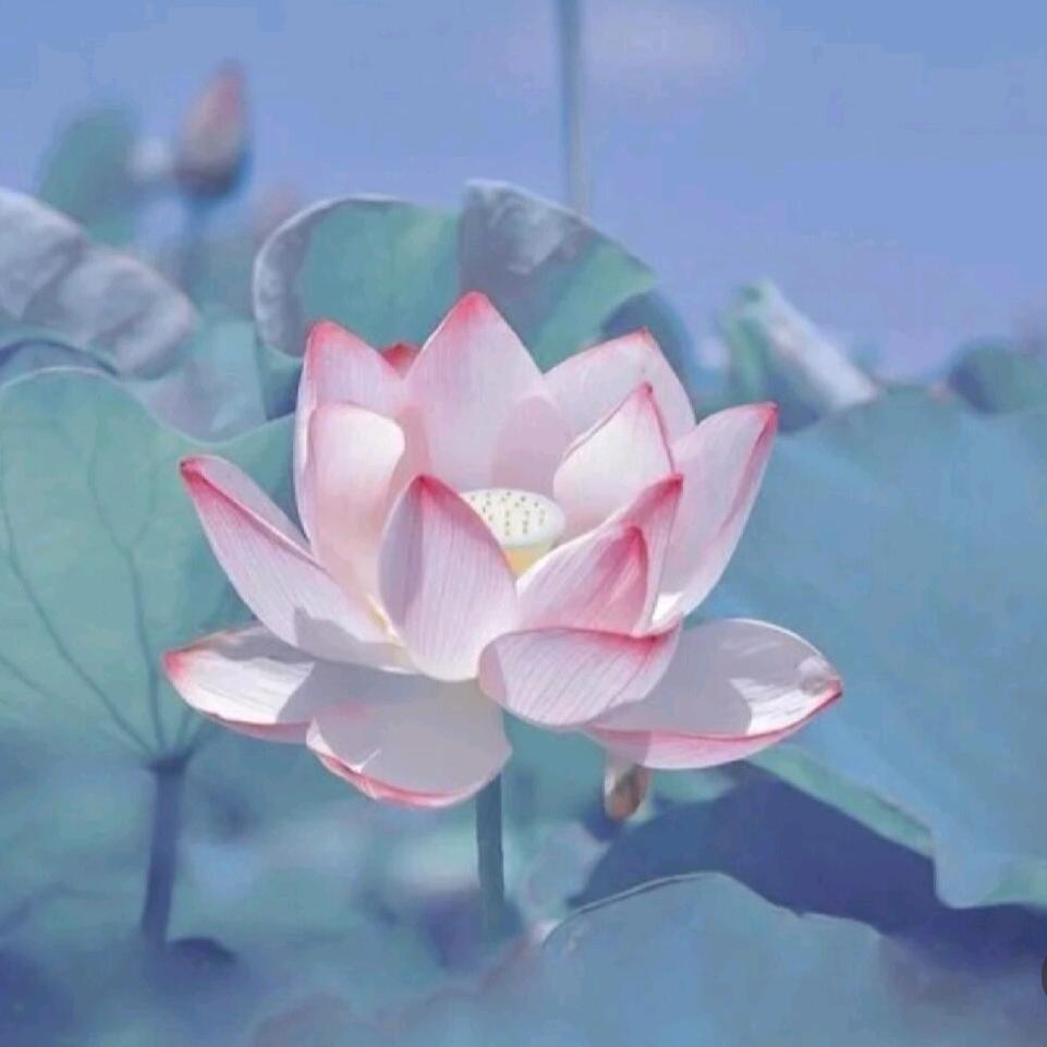 玩的开心