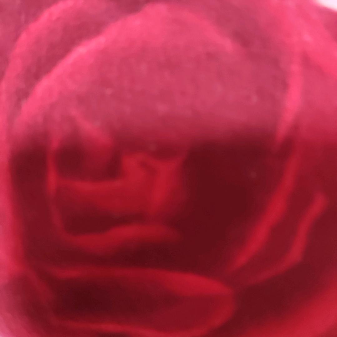 用户春暖花开