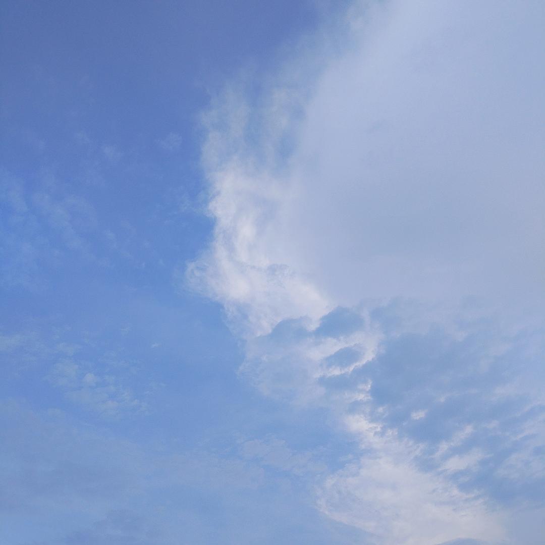 草药味儿の岁月