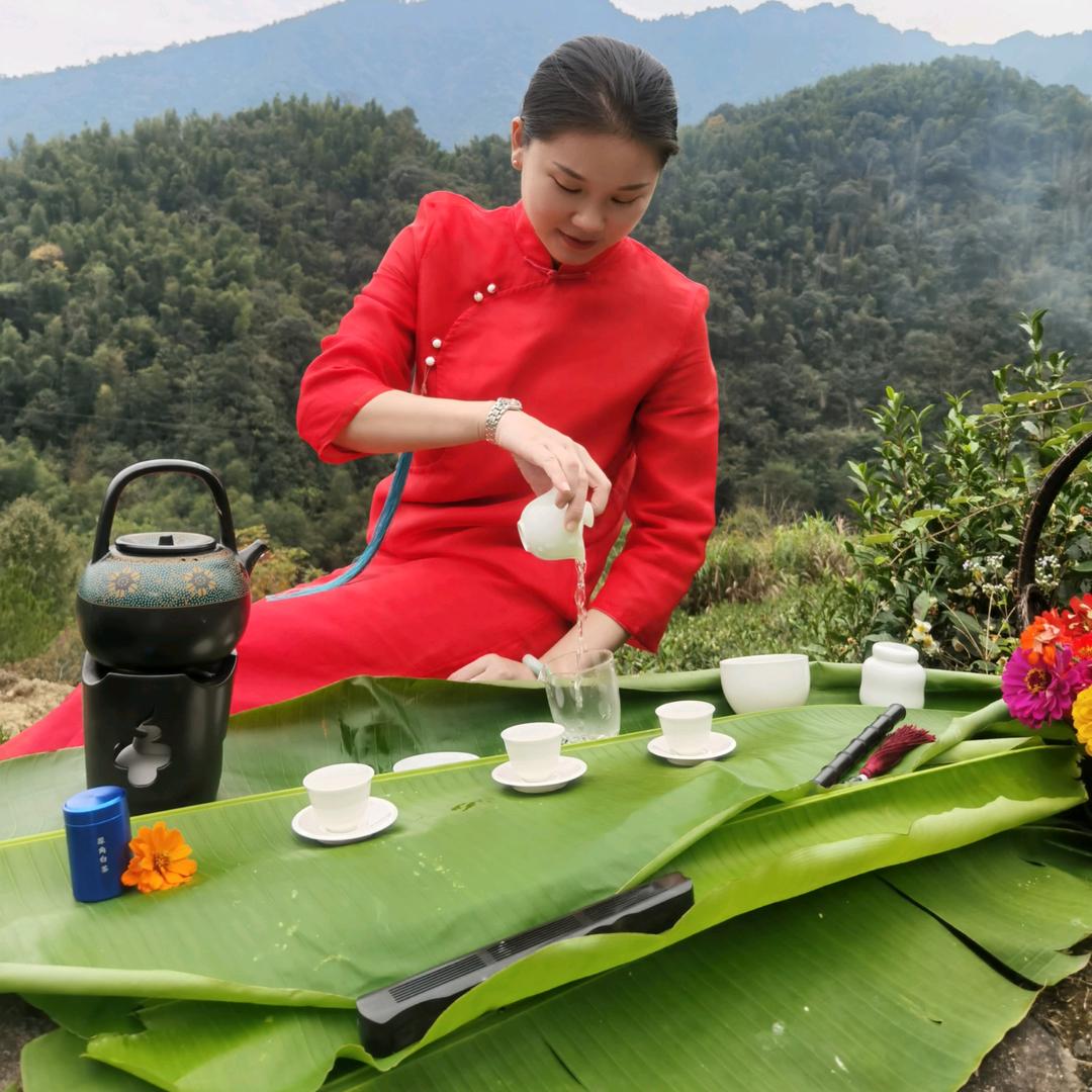 菩心閣茶莊