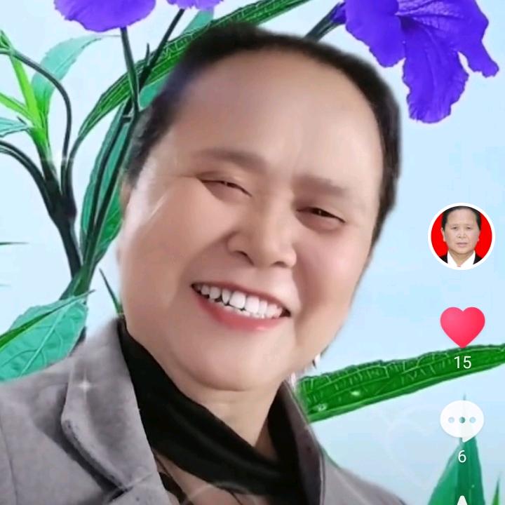 白菊花