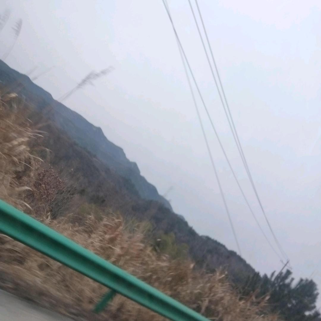 枫叶金秋