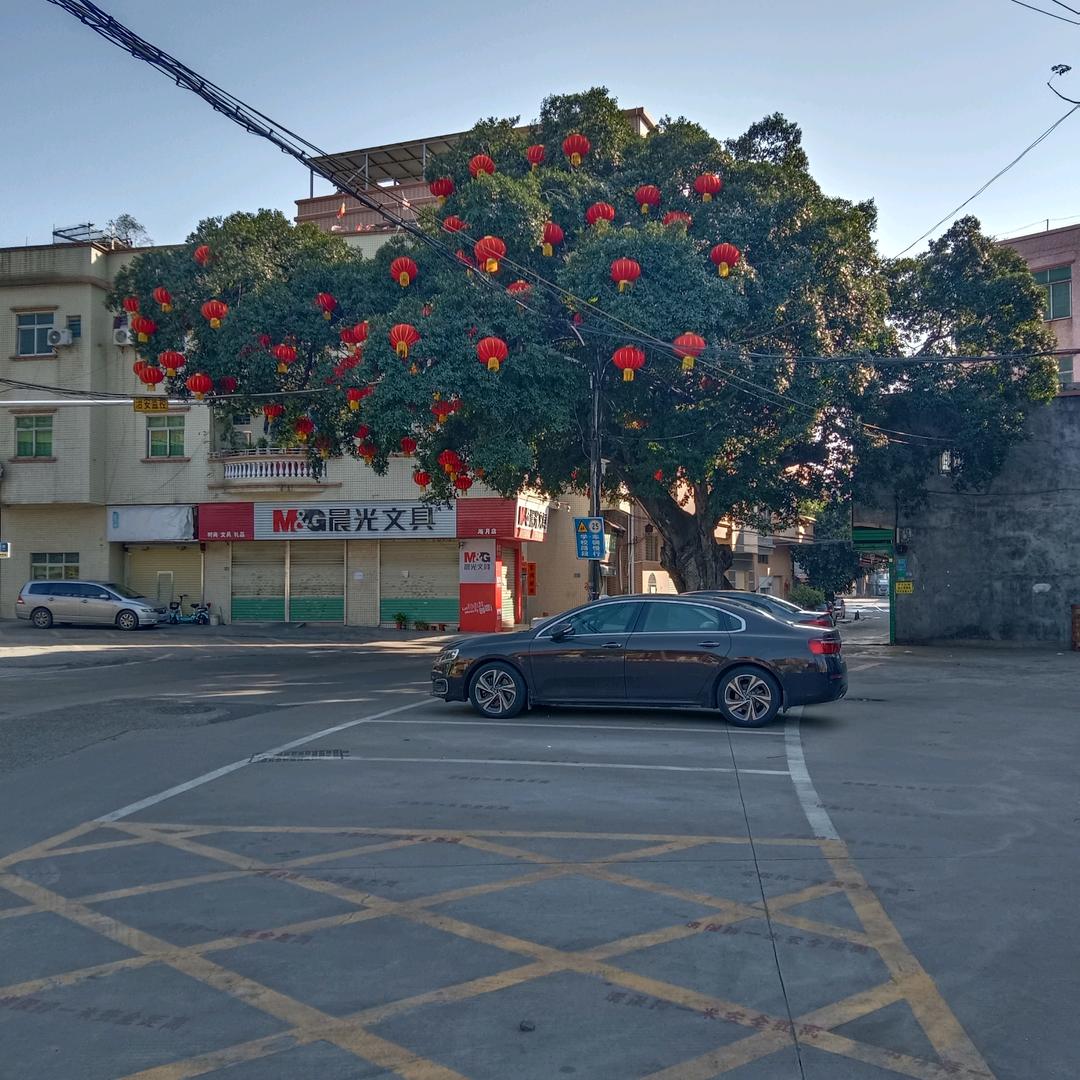 有朝一日遇花开