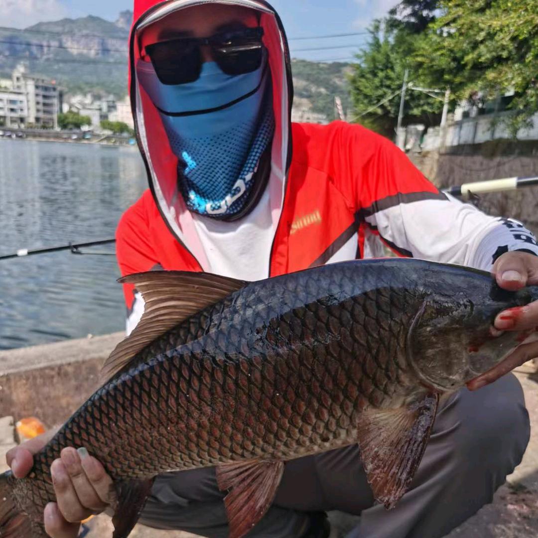 分心野钓。