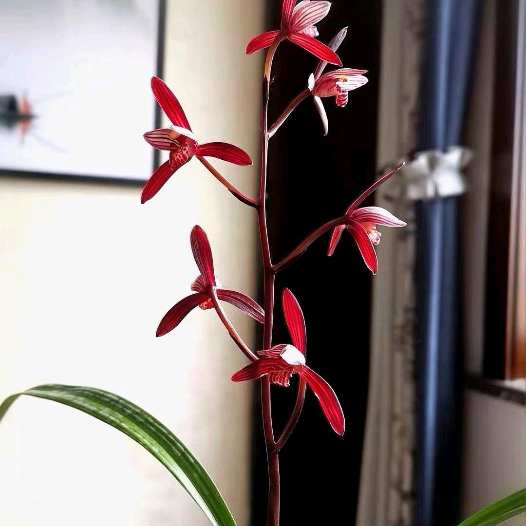 多识草木