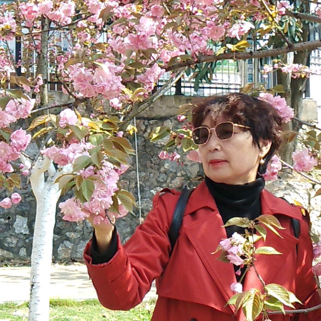 花好月圆