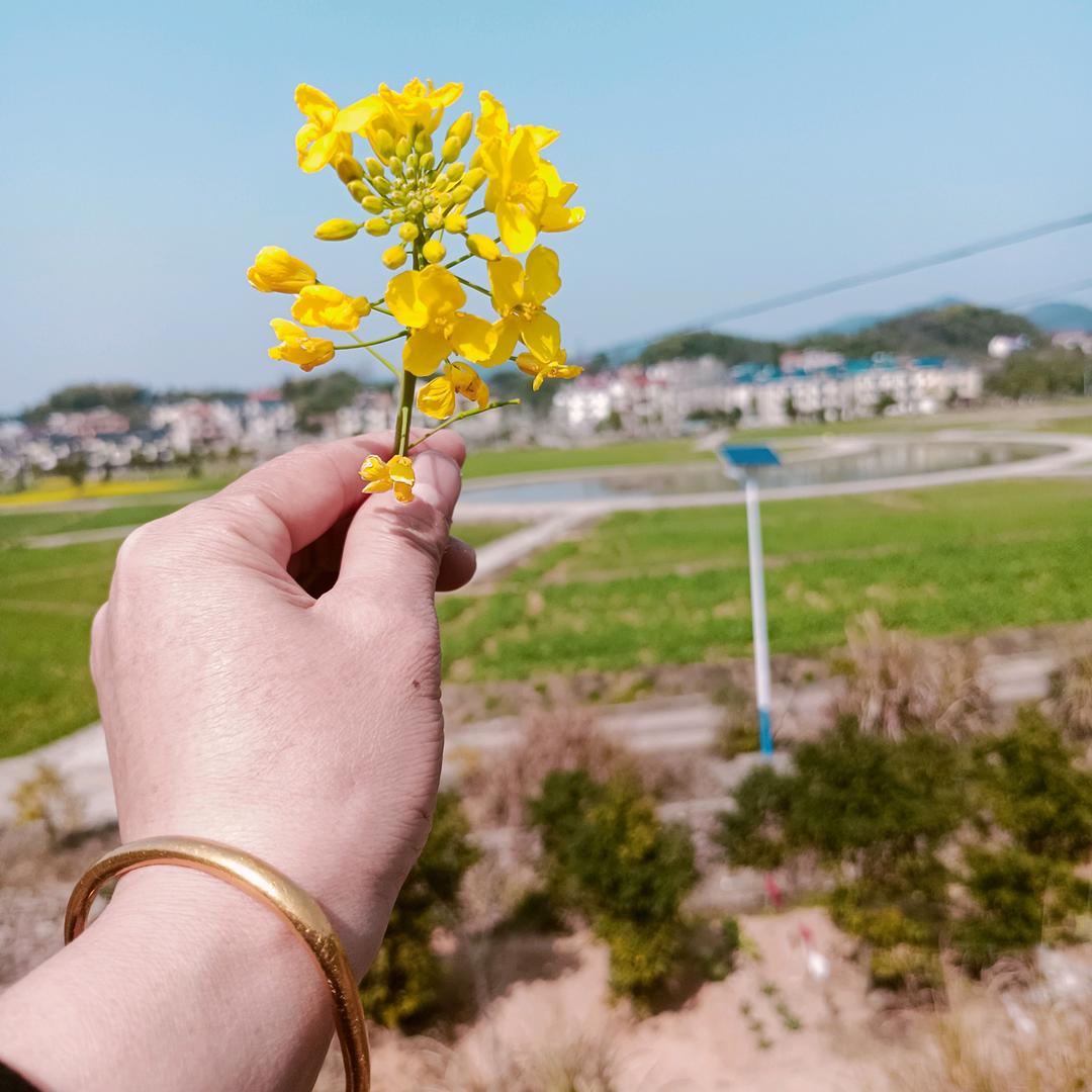 @芬