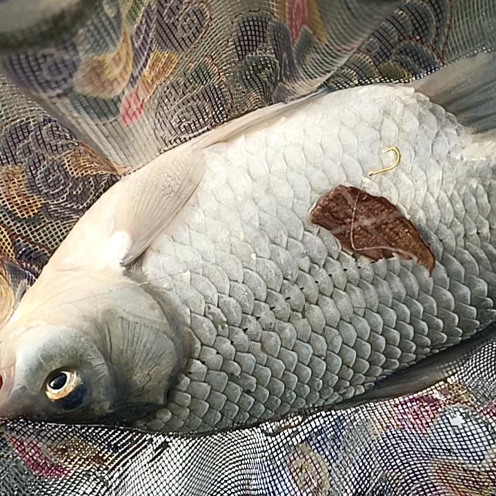 阿涛