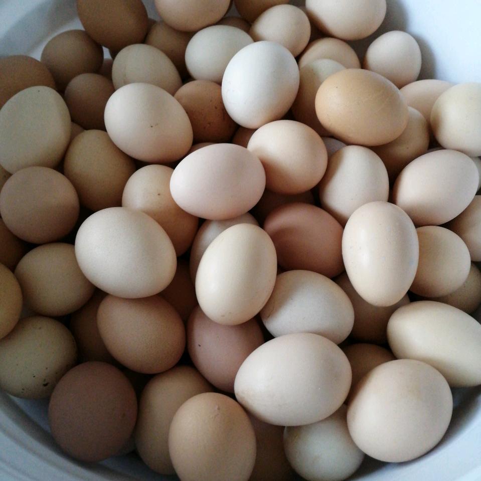 舌尖好馋嘴，小时候的味道