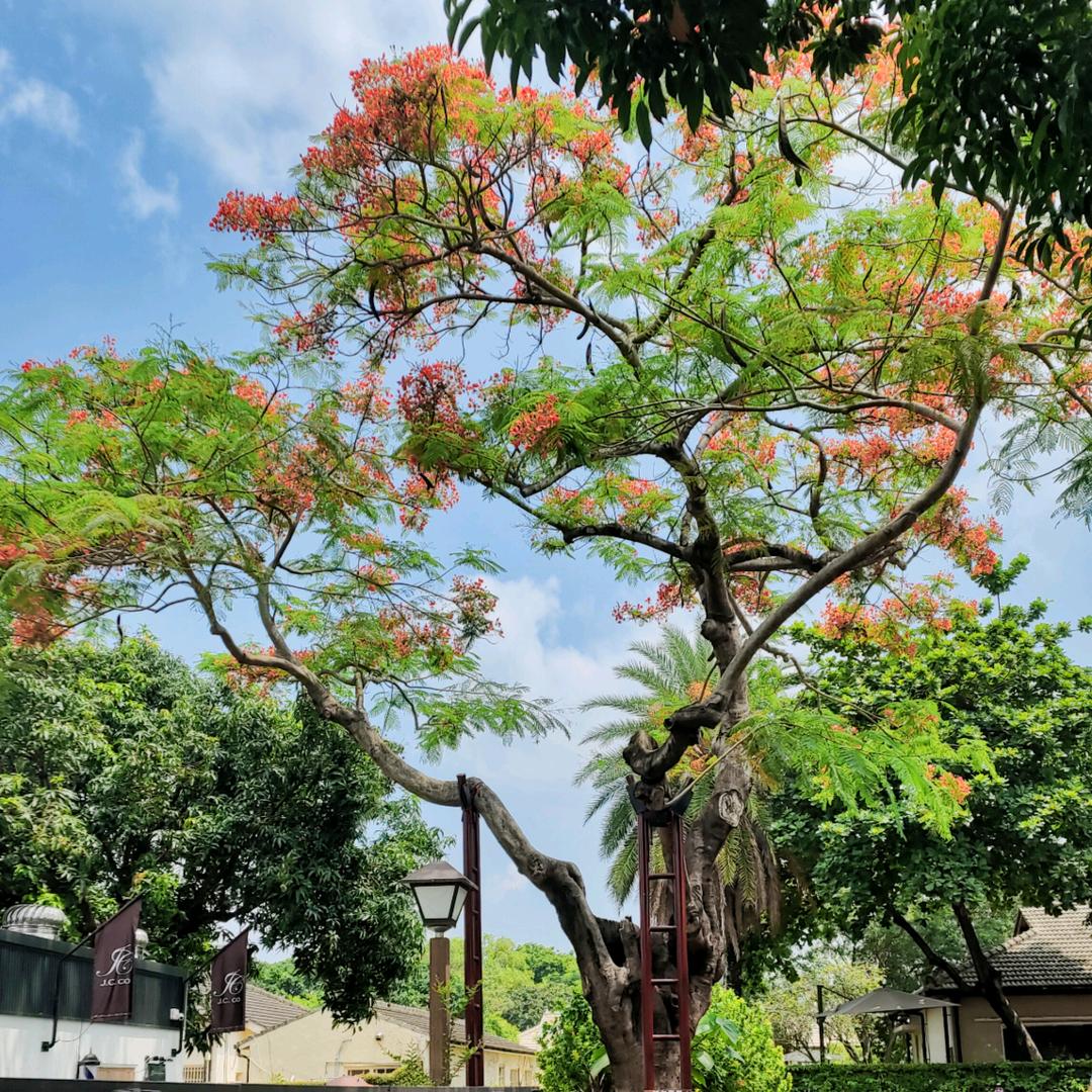 开心✧٩(ˊωˋ*)و✧