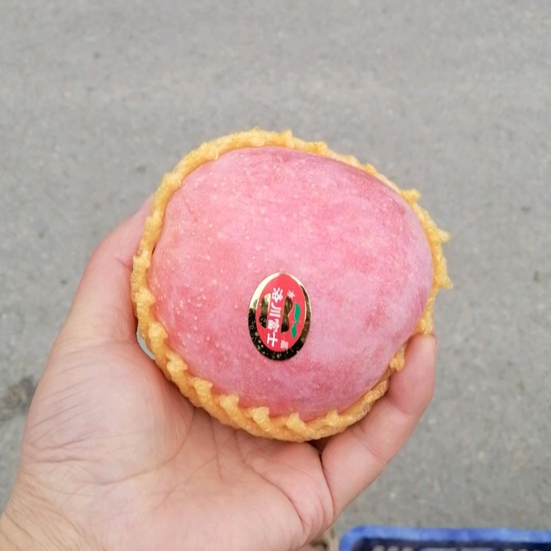 不想参与纷争