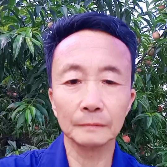 放羊四哥（晚上22：20分首播）