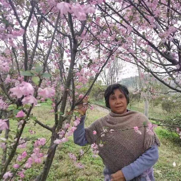 新站刘氏月饼厂夏姐