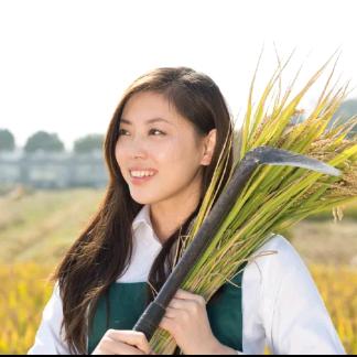 农业植保夏云