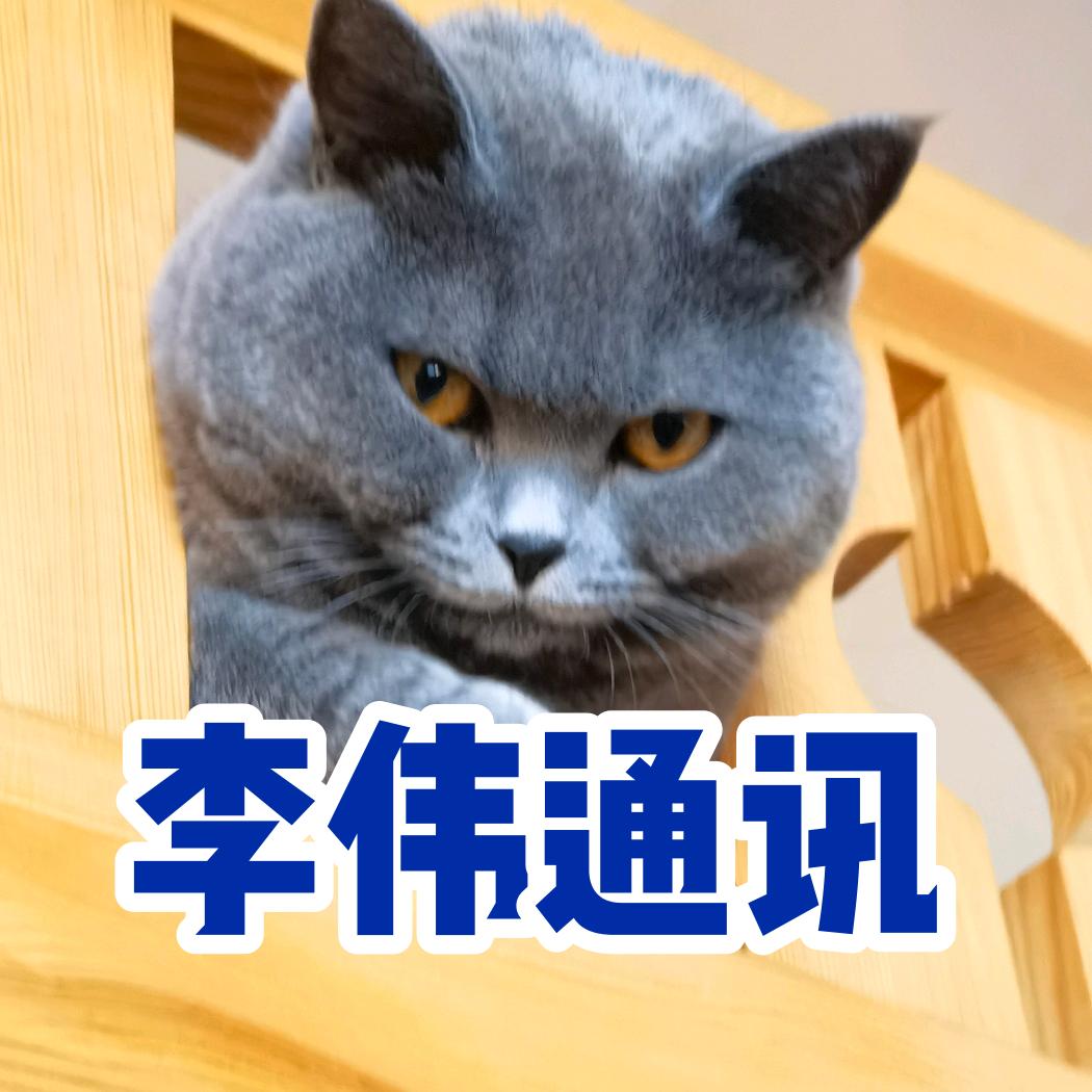 李伟通讯（天津豪维）