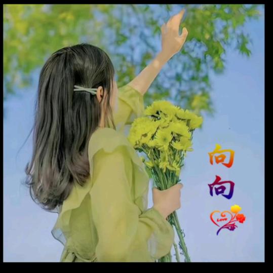 笨笨熊