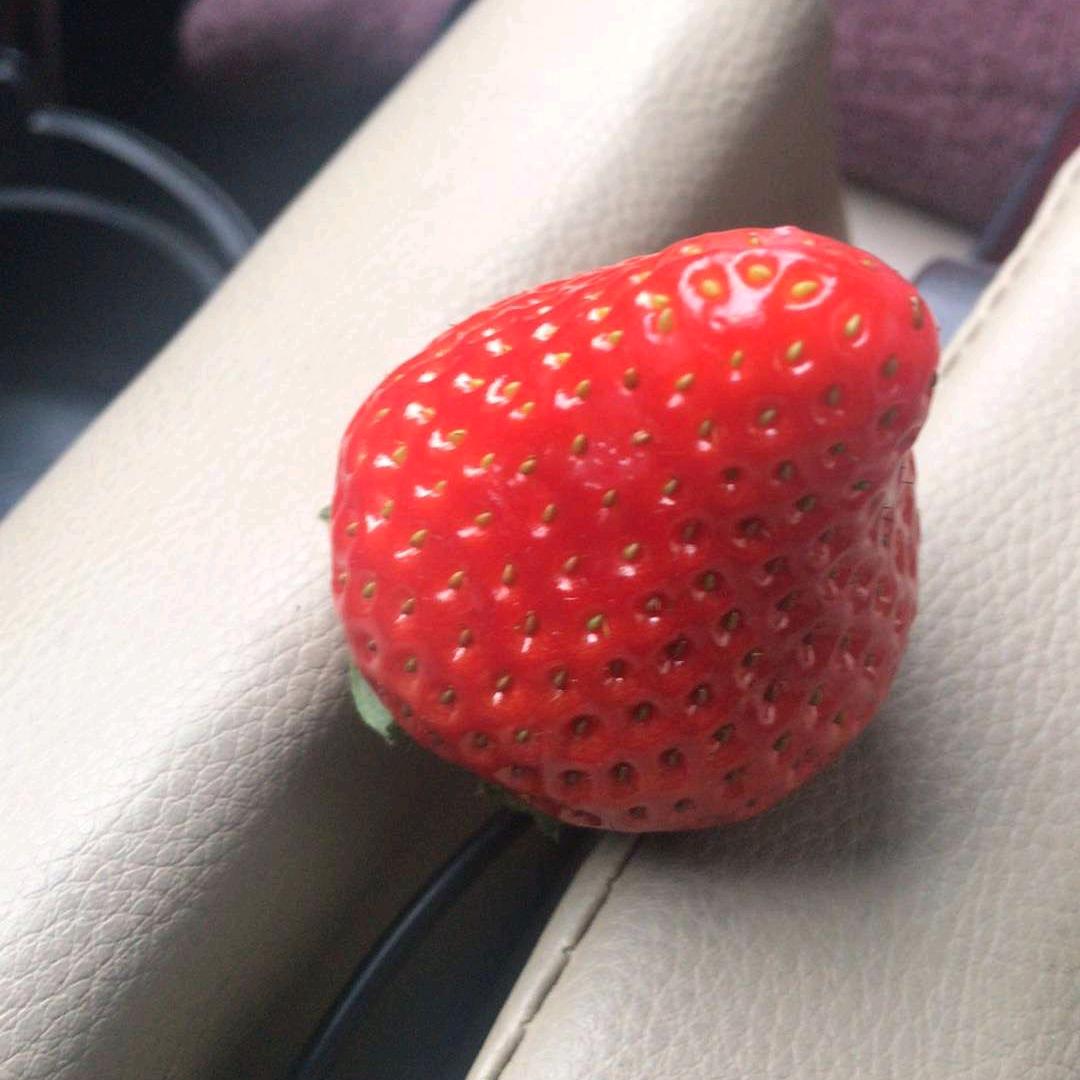 丑得达扑爬