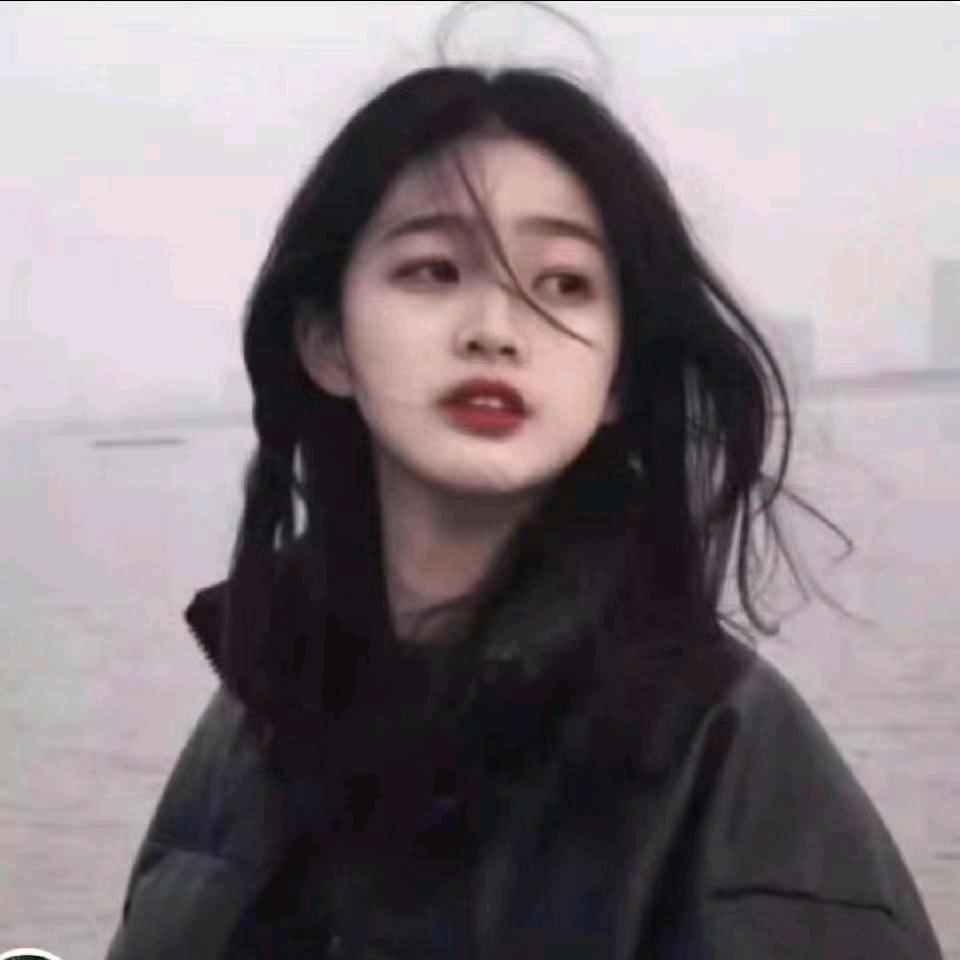 圣菲儿埃及神仙鱼