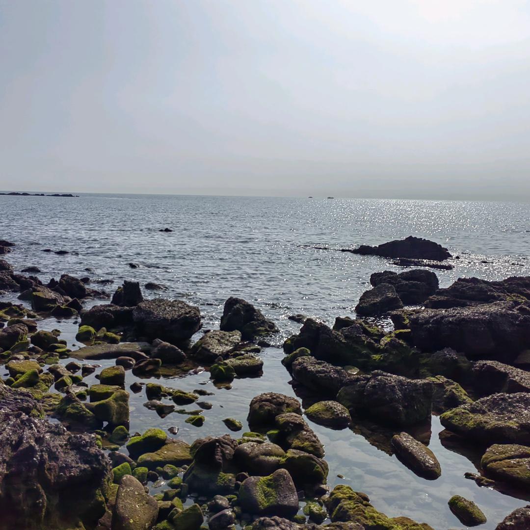 要不明天请个假？