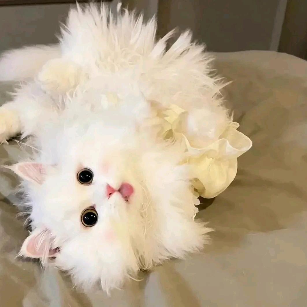 汐~落~