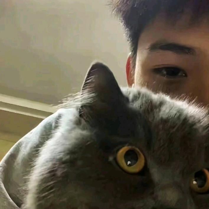 锦鲤💫⚡️
